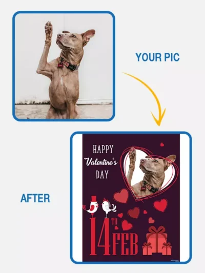 Heppy Valentine day - red bird